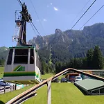 Alpenrose